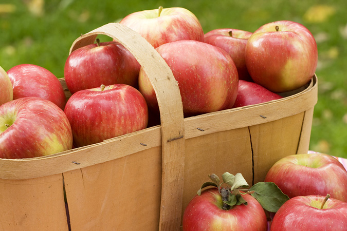 The recipe calls for Rome Beauty apples, but Honeycrisp apples can also be used (Honeycrisp apples pictured). The recipe calls for Rome Beauty apples, but Honeycrisp apples can also be used (Honeycrisp apples pictured).