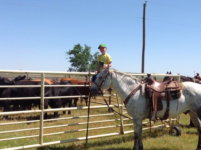 Lambley’s son, Burke, helping on the farm Lambley’s son, Burke, helping on the farm